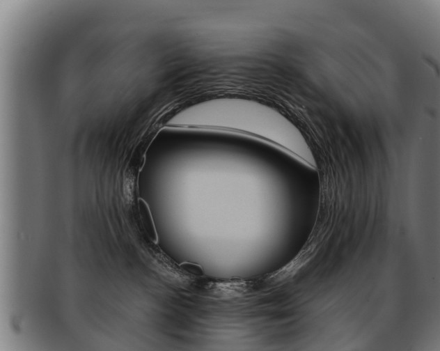 X0000091920188200709051238