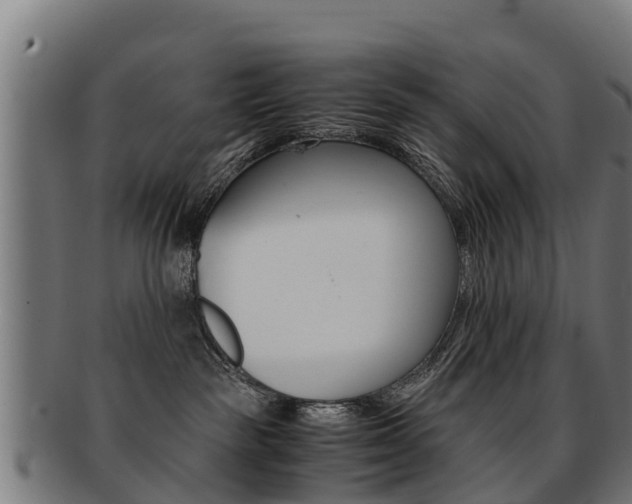 X0000091920189200709051238