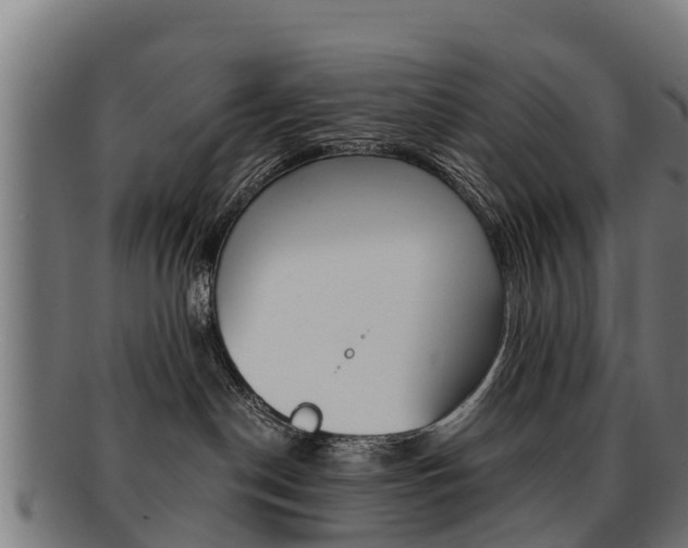 X0000091920190200709051238