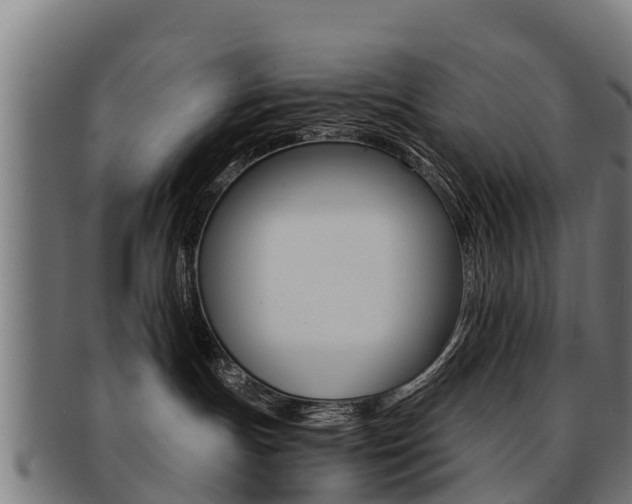 X0000091920191200709051238