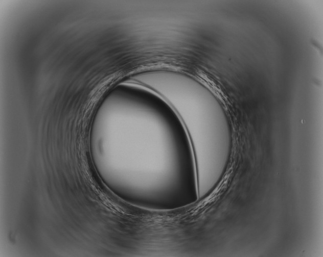 X0000091920193200709051237