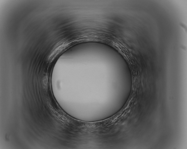 X0000091920194200709051237