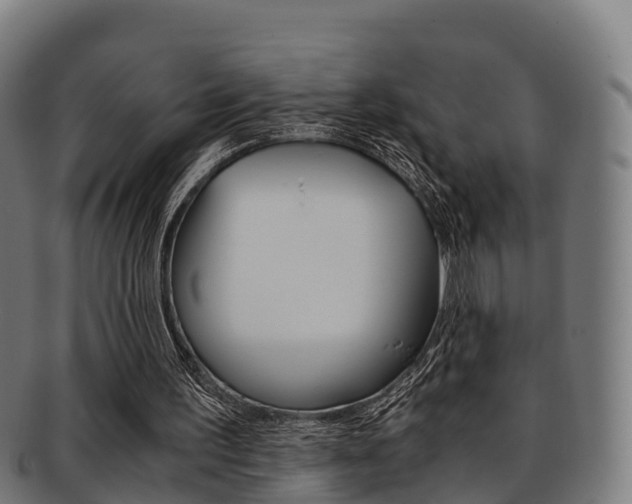 X0000091920195200709051237
