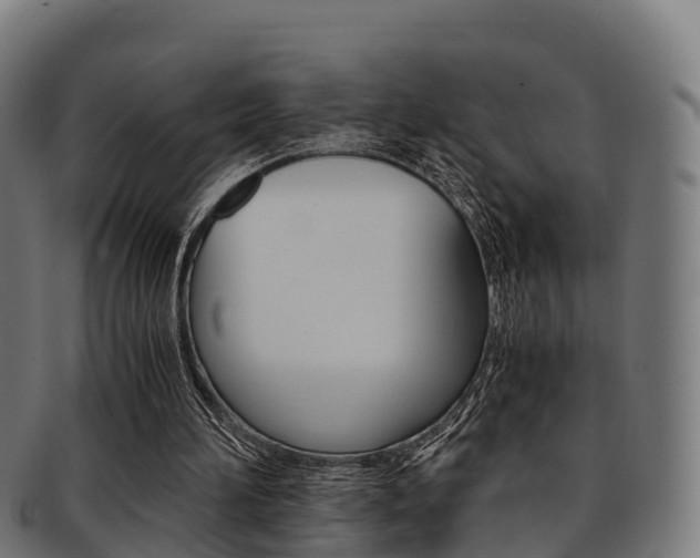 X0000091920196200709051237