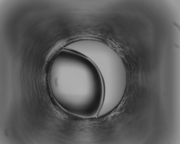 X0000091920197200709051237