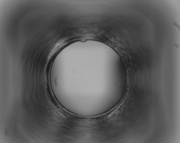 X0000091920198200709051237
