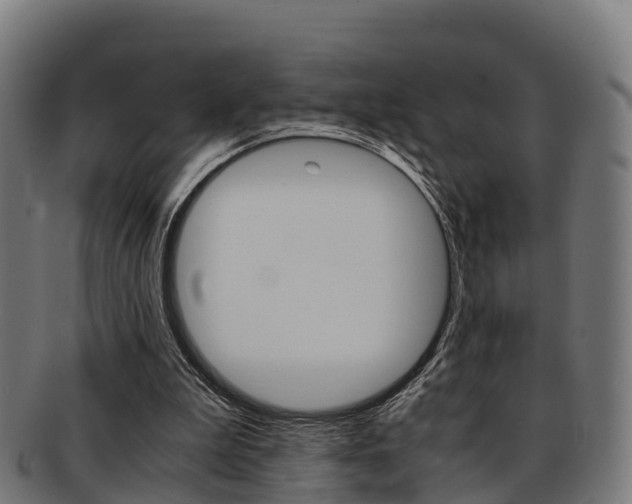 X0000091920199200709051237