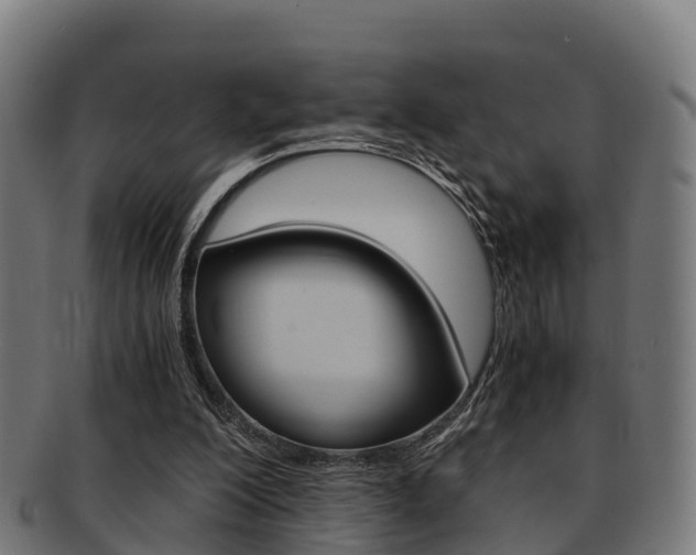 X0000091920200200709051237