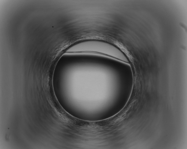 X0000091920201200709051237