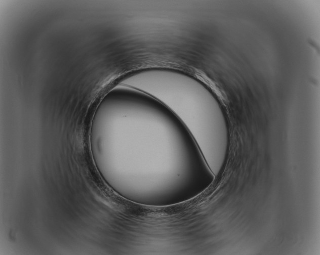 X0000091920203200709051237