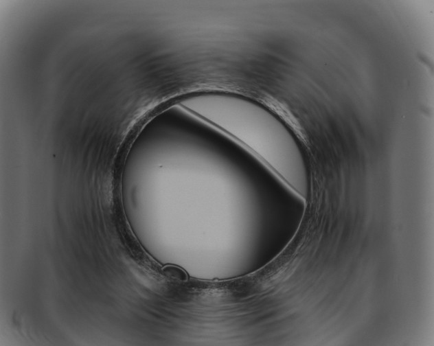 X0000091920204200709051237