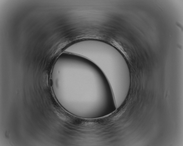X0000091920205200709051237