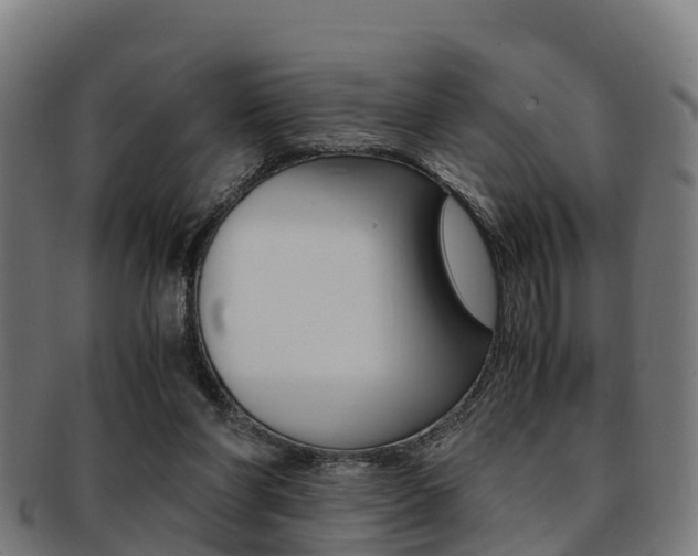 X0000091920206200709051237