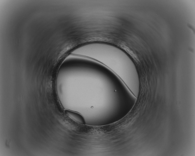 X0000091920207200709051237