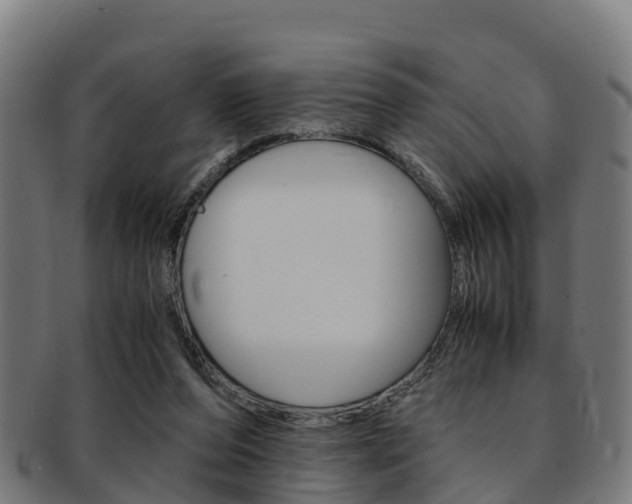 X0000091920208200709051237