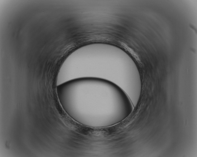 X0000091920209200709051237