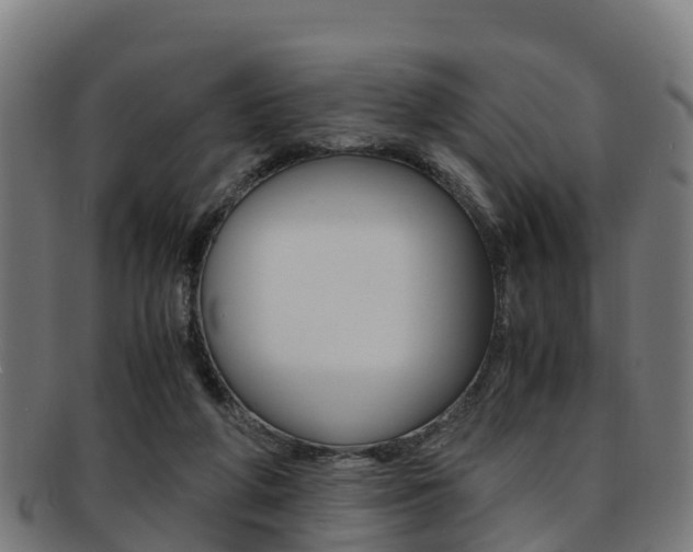 X0000091920210200709051237