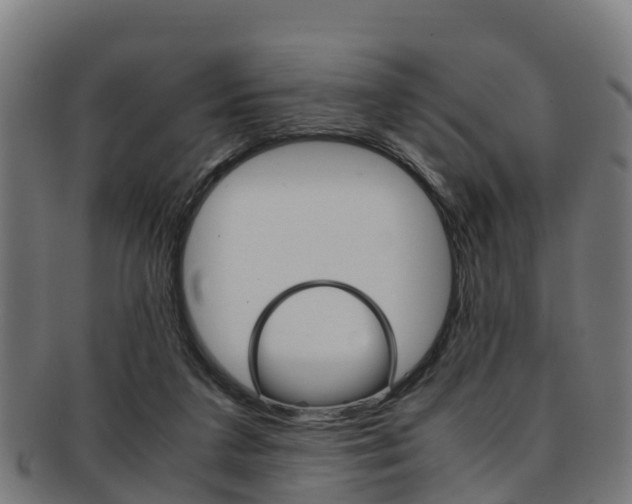 X0000091920211200709051237