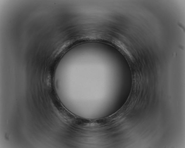 X0000091920212200709051237