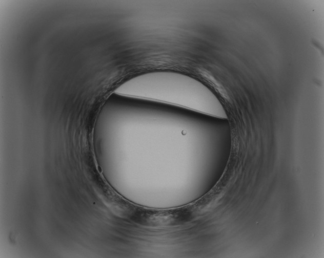 X0000091920213200709051237