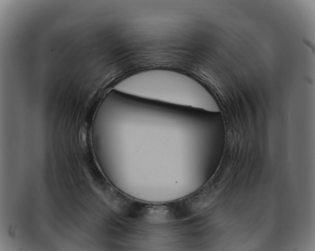 X0000091920214200709051237