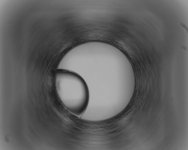 X0000091920215200709051237