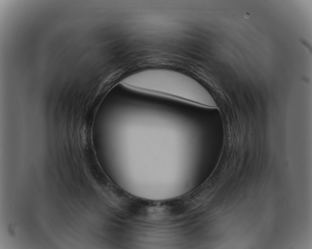 X0000091920216200709051237