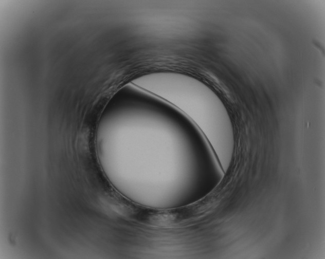 X0000091920217200709051237