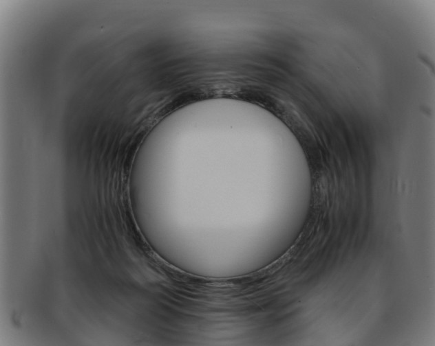 X0000091920218200709051237