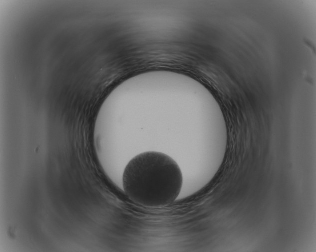 X0000091920219200709051237
