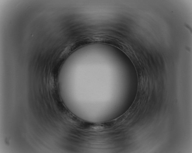 X0000091920220200709051237