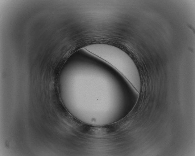 X0000091920221200709051237