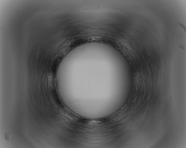 X0000091920222200709051237