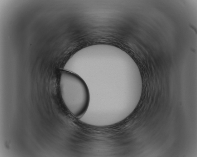 X0000091920223200709051237