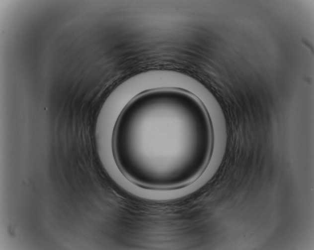 X0000091920224200709051237