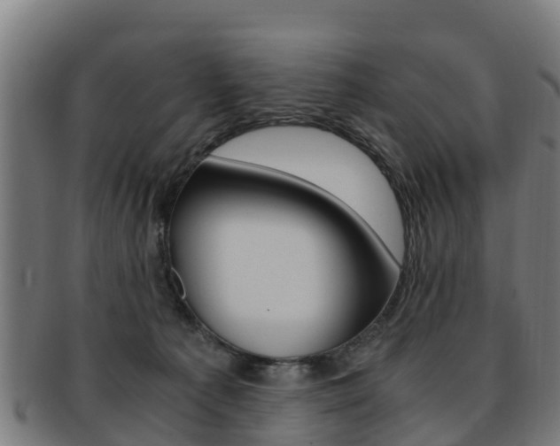 X0000091920225200709051237