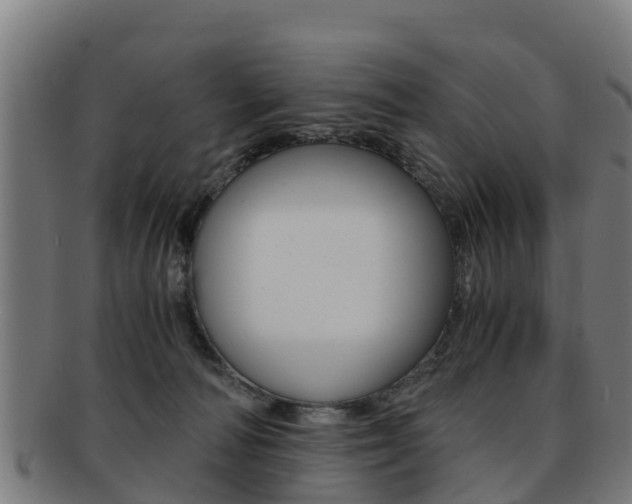 X0000091920226200709051237