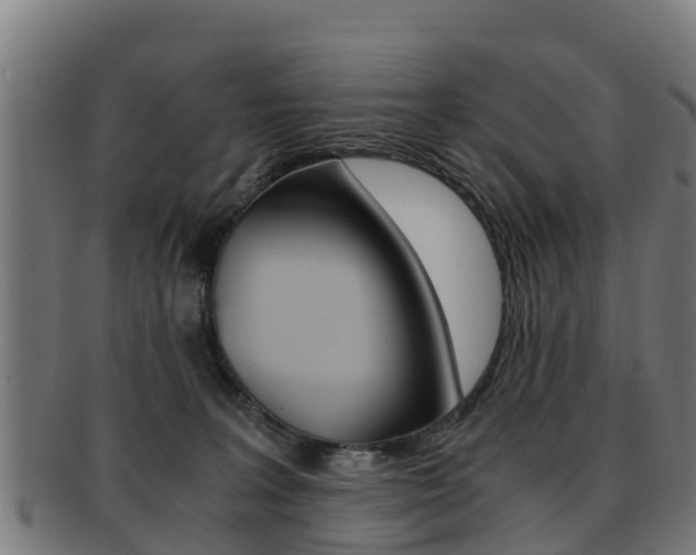 X0000091920227200709051237