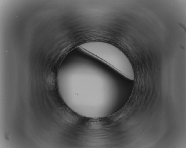 X0000091920228200709051237