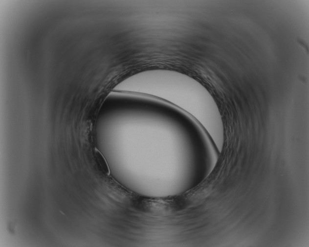 X0000091920229200709051237
