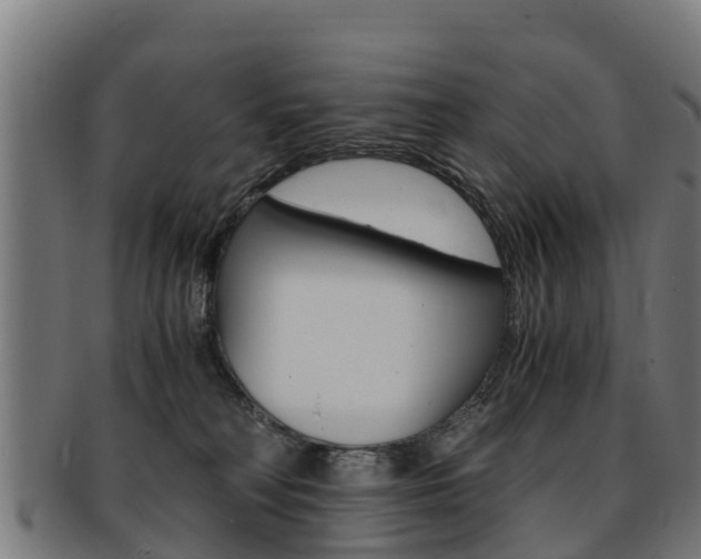 X0000091920230200709051237