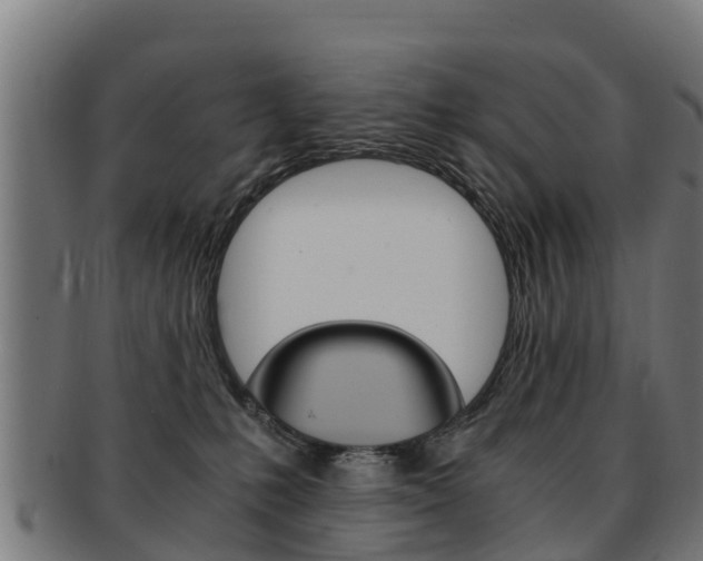 X0000091920231200709051237