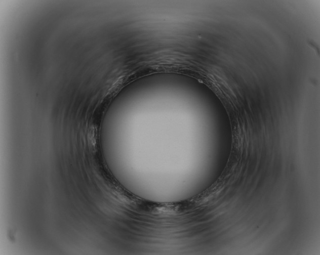 X0000091920232200709051237