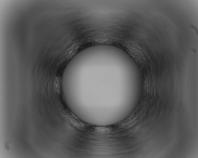 X0000091920234200709051237