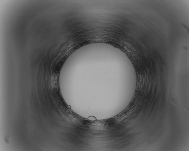 X0000091920236200709051237