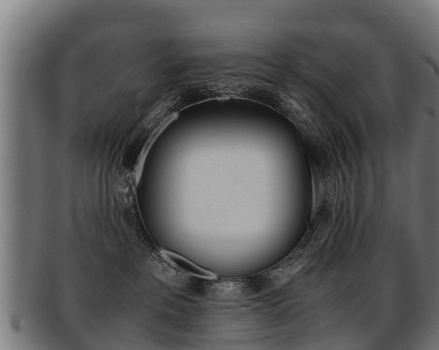 X0000091920237200709051237