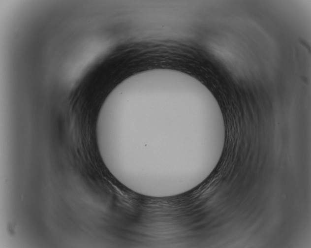 X0000091920239200709051237