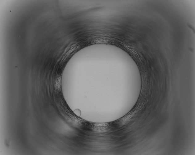 X0000091920240200709051237