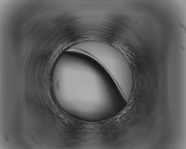 X0000091920241200709051236