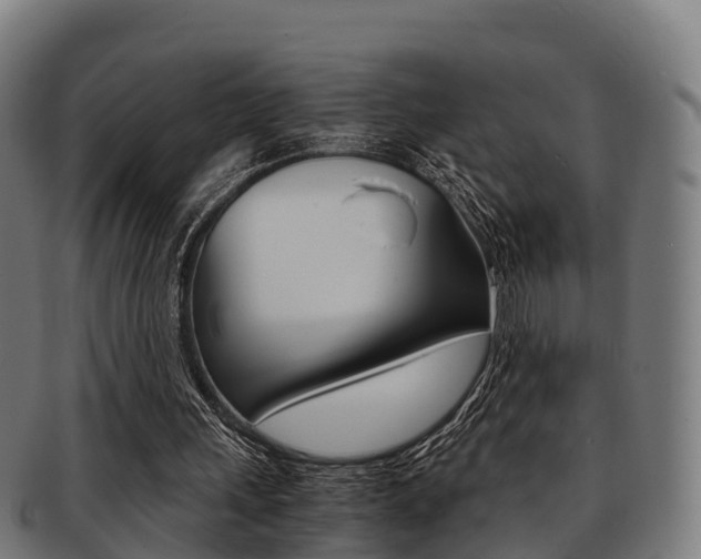 X0000091920243200709051236